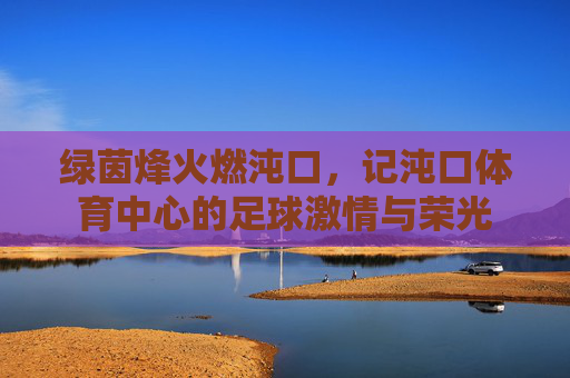 绿茵烽火燃沌口,记沌口体育中心的足球激情与荣光