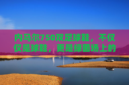 内马尔750双足球鞋,不仅仅是球鞋,更是绿茵场上的艺术收藏