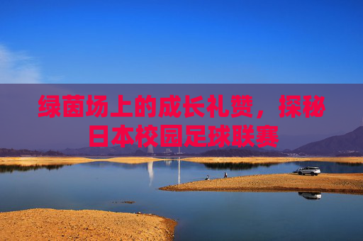 绿茵场上的成长礼赞，探秘日本校园足球联赛