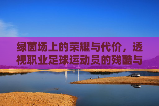 绿茵场上的荣耀与代价,透视职业足球运动员的残酷与辉煌