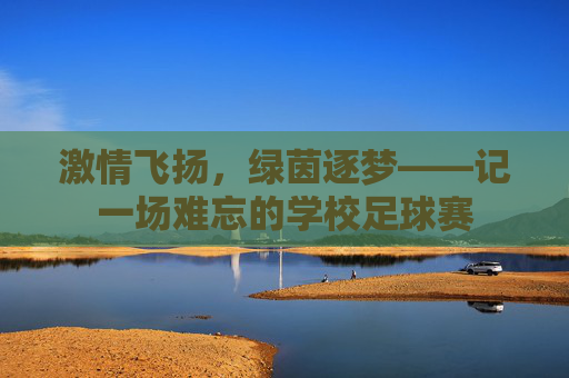 激情飞扬,绿茵逐梦——记一场难忘的学校足球赛