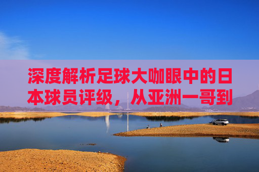 深度解析足球大咖眼中的日本球员评级,从亚洲一哥到世界级边锋的进化论