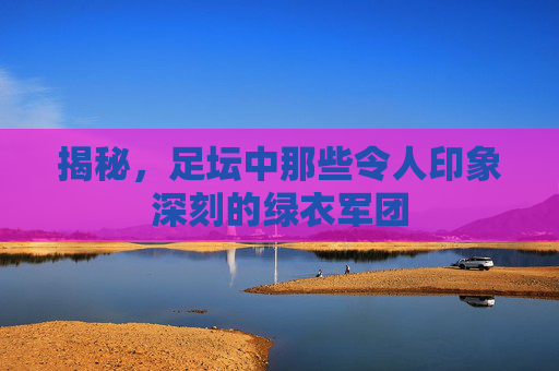 揭秘,足坛中那些令人印象深刻的绿衣军团