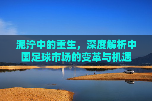 泥泞中的重生,深度解析中国足球市场的变革与机遇