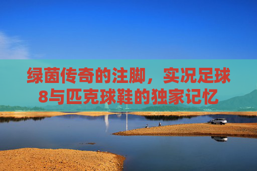 绿茵传奇的注脚,实况足球8与匹克球鞋的独家记忆