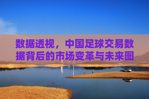 数据透视，中国足球交易数据背后的市场变革与未来图景