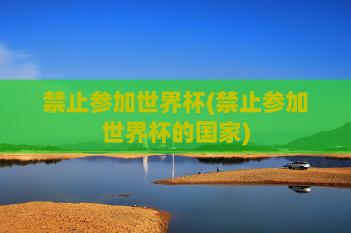 禁止参加世界杯(禁止参加世界杯的国家)