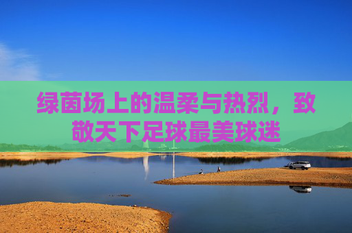 绿茵场上的温柔与热烈,致敬天下足球最美球迷