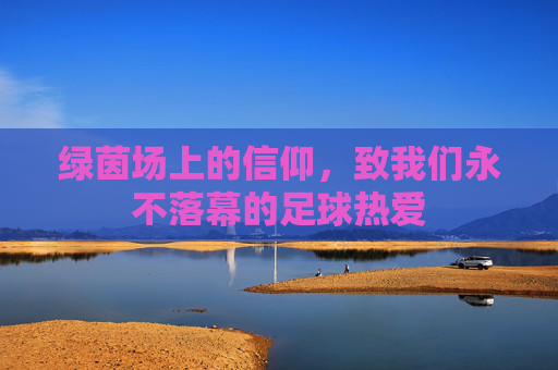 绿茵场上的信仰,致我们永不落幕的足球热爱