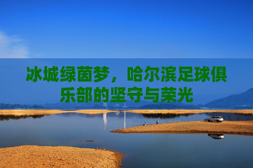 冰城绿茵梦,哈尔滨足球俱乐部的坚守与荣光