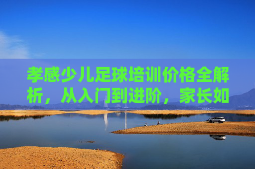 孝感少儿足球培训价格全解析,从入门到进阶,家长如何花对钱?