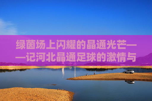 绿茵场上闪耀的晶通光芒——记河北晶通足球的激情与坚守
