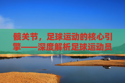 髋关节,足球运动的核心引擎——深度解析足球运动员髋关节训练体系