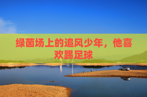 绿茵场上的追风少年,他喜欢踢足球