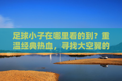 足球小子在哪里看的到?重温经典热血,寻找大空翼的足迹