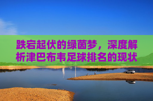 跌宕起伏的绿茵梦，深度解析津巴布韦足球排名的现状与未来