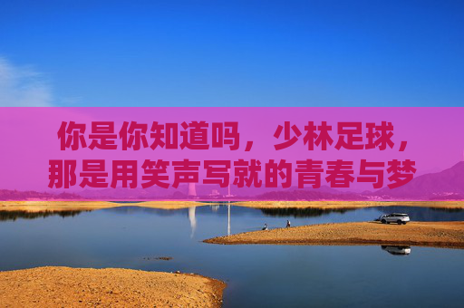 你是你知道吗，少林足球，那是用笑声写就的青春与梦想
