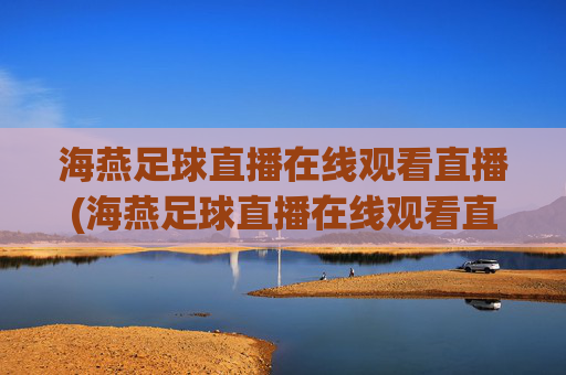 海燕足球直播在线观看直播(海燕足球直播在线观看直播回放)