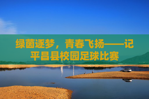 绿茵逐梦,青春飞扬——记平昌县校园足球比赛