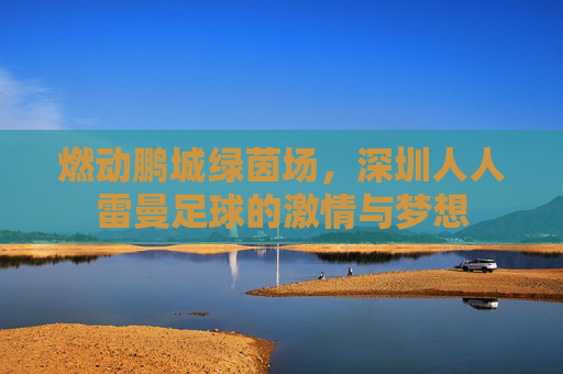 燃动鹏城绿茵场,深圳人人雷曼足球的激情与梦想