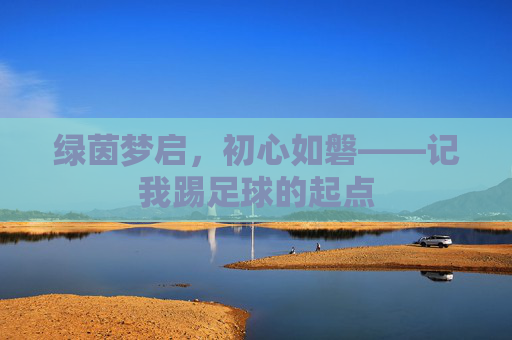 绿茵梦启,初心如磐——记我踢足球的起点