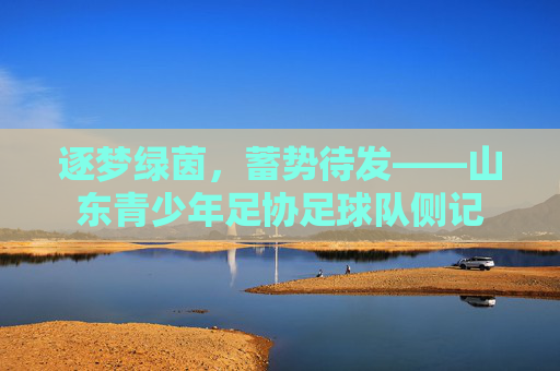 逐梦绿茵,蓄势待发——山东青少年足协足球队侧记