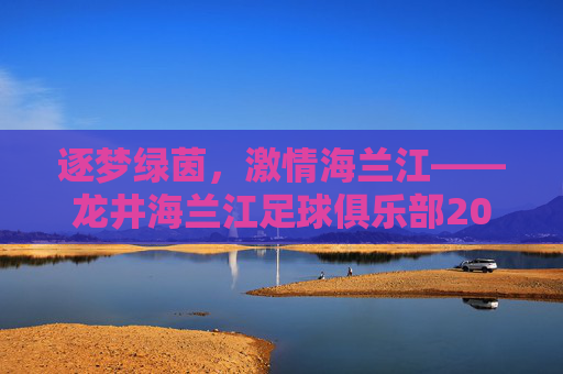 逐梦绿茵,激情海兰江——龙井海兰江足球俱乐部202X年精英球员招募正式启动
