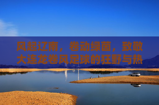风起辽南，卷动绿茵，致敬大连龙卷风足球的狂野与热血