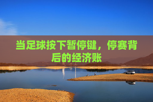 当足球按下暂停键,停赛背后的经济账