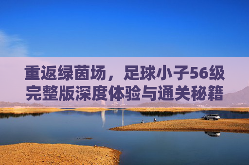 重返绿茵场，足球小子56级完整版深度体验与通关秘籍