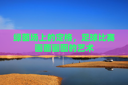 绿茵场上的定格,足球比赛画面画图的艺术