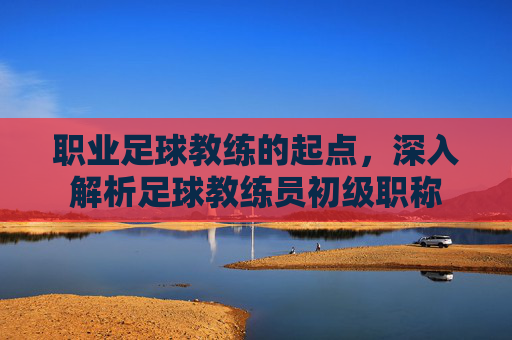 职业足球教练的起点,深入解析足球教练员初级职称
