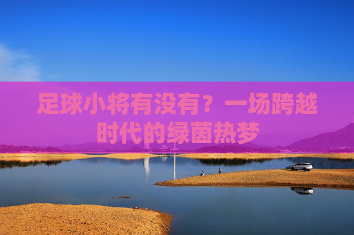 足球小将有没有?一场跨越时代的绿茵热梦