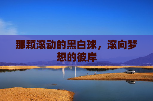 那颗滚动的黑白球,滚向梦想的彼岸