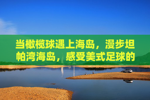 当橄榄球遇上海岛,漫步坦帕湾海岛,感受美式足球的狂热脉搏