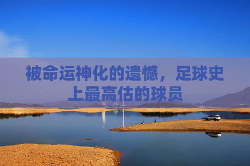 被命运神化的遗憾,足球史上最高估的球员