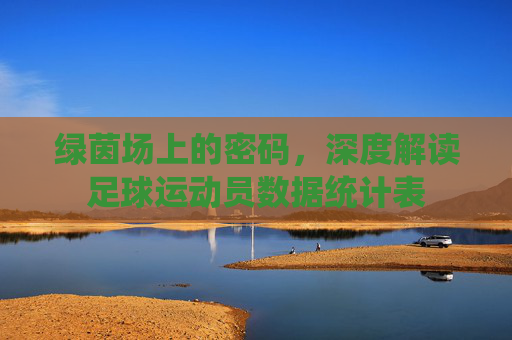 绿茵场上的密码,深度解读足球运动员数据统计表