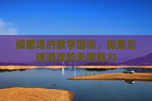 绿茵场的数字回响,探索足球游戏的无限魅力
