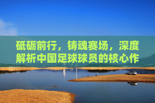 砥砺前行,铸魂赛场,深度解析中国足球球员的核心作用