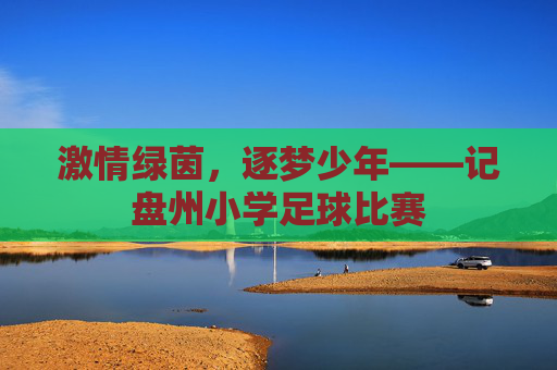 激情绿茵,逐梦少年——记盘州小学足球比赛