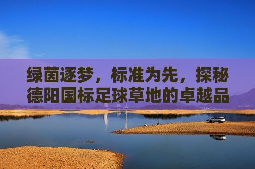 绿茵逐梦，标准为先，探秘德阳国标足球草地的卓越品质
