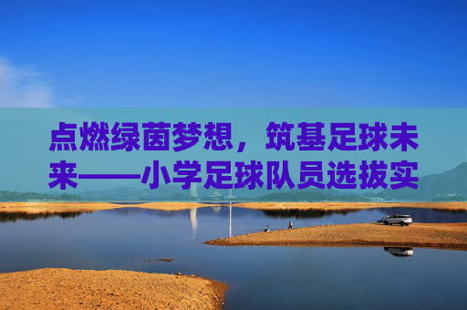 点燃绿茵梦想，筑基足球未来——小学足球队员选拔实施方案