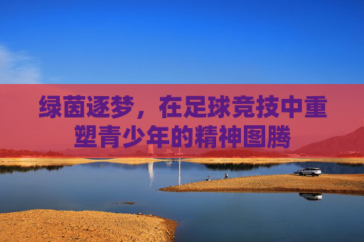 绿茵逐梦,在足球竞技中重塑青少年的精神图腾
