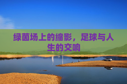 绿茵场上的缩影,足球与人生的交响