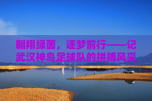 翱翔绿茵,逐梦前行——记武汉神鸟足球队的拼搏风采
