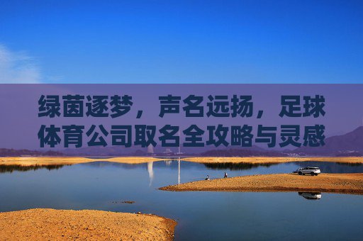 绿茵逐梦，声名远扬，足球体育公司取名全攻略与灵感集锦