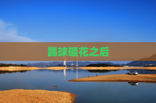 踢球砸花之后