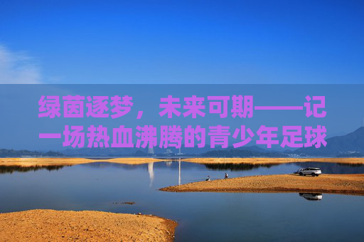 绿茵逐梦,未来可期——记一场热血沸腾的青少年足球选拔赛
