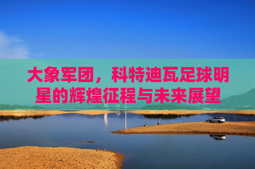 大象军团,科特迪瓦足球明星的辉煌征程与未来展望