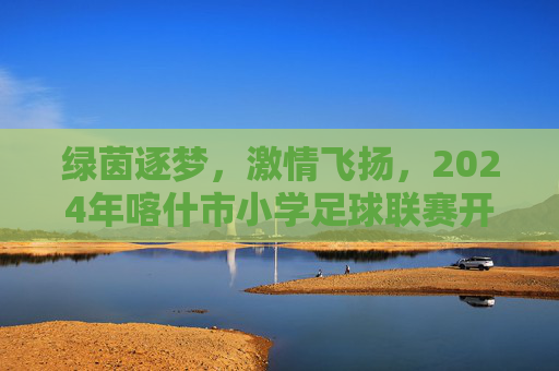 绿茵逐梦,激情飞扬,2024年喀什市小学足球联赛开赛时间及赛程安排